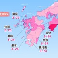 各エリアの桜開花予想・九州