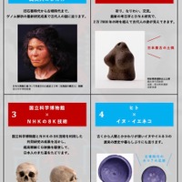 特別展の見どころ