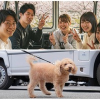 画像はイメージ