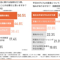 生徒に食生活に関する指導を行う際、どのようなことが必要だと思いますか？／平日の子供の昼食について、どのような悩みがありますか？