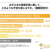 子供の英語学習に関しての不安（「実践的な英会話力の向上」を最優先している人）