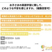 子供の英語学習に関しての不安（「英検などの資格取得」を最優先している人）
