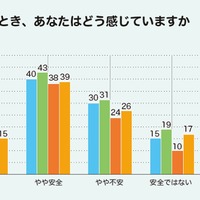 インターネットを使うとき、どう感じているか　(c) Girl Scouts of Japan
