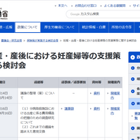 第10回「妊娠・出産・産後における妊産婦等の支援策等に関する検討会」議論の整理（案）