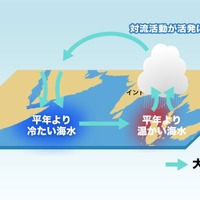 負のインド洋ダイポールモード現象 模式図