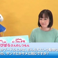 過去のライブ配信でも大好評の事前質問への回答コーナー