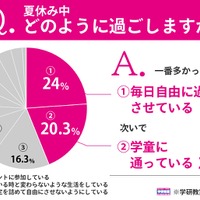 夏休み中どのように過ごすか