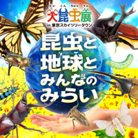 大昆虫展in東京スカイツリータウン～昆虫と地球とみんなのみらい～