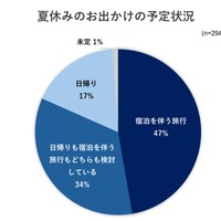 夏休みのお出かけの予定状況