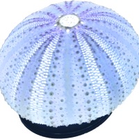 ウニランプを作ろう