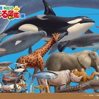夏の特別展「くらべる図鑑展」