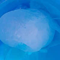 北海道から到着、流氷展示