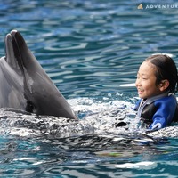 【夏休み2025】アドベンチャーワールドでイルカと泳ぐ体験…8/31まで