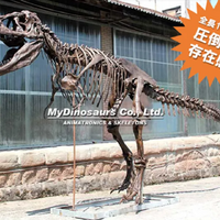 ティラノサウルス全身骨格