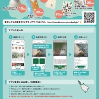 東京いきもの調査団 2025夏編 チラシ