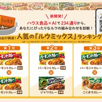 調査ランキングデーター