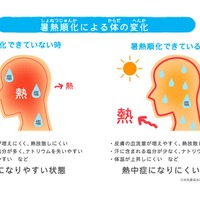 暑熱順化による体の変化