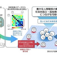 楽観性に共通する脳の働きを可視化…神戸大ら研究成果