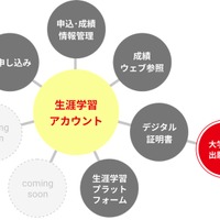 今後の展望