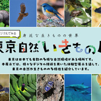 【夏休み2025】デジタルでみる東京自然いきもの展8/2より