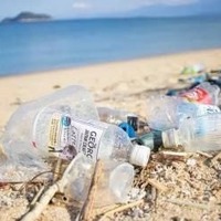 小学5・6年生向け自由研究テーマ例「海洋プラスチックゴミの調査をしてみよう」