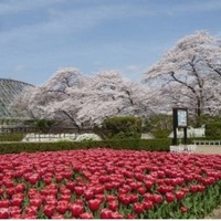 京都府立植物園