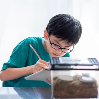 【夏休み2025】自由研究、親はどこまでサポート？84%の家庭が実践する子供主体の進め方