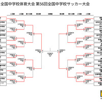 2025年度全国中学校体育大会日程・結果