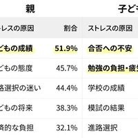 親子のストレスランキングの上位5位
