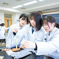 理数教育のようす