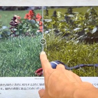 体験展示：ヒトとイヌの色覚を比較してみよう（画像提供：野口 靖氏）