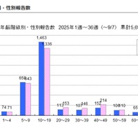 「百日咳」東京都、年齢階級別・性別報告数