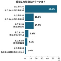 受験した校数とパターン
