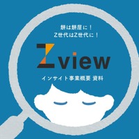 Zview lab.