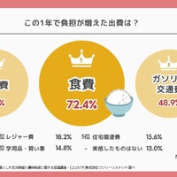 この1年で負担が増えた出費