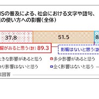 SNSの普及による、社会における文字や語句、言葉の使い方への影響