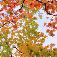 ※画像はイメージです