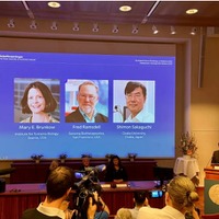 2025年のノーベル生理学・医学賞の発表　Photo: Cecilia Odlind
