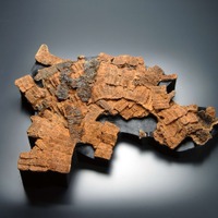 甲小札（端谷城跡、神戸市提供）