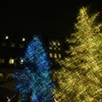 2025 Winter Illumination ー 光でつなぐ、玉川の学び ー