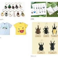 みらいや昆虫館inみらいやの森