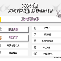 2025年いちばん沼ったものは？
