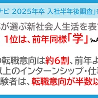 マイナビ 2025年卒 入社半年後調査