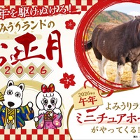 【冬休み2026】午年生まれ・名前「馬」「午」入園無料、よみうりランド1/1-4