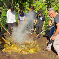 伝統的な地中蒸し料理をするようす