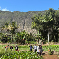 SOSHI Aloha Camp 敷地内