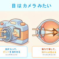 当日のスライド資料「目はカメラみたい」