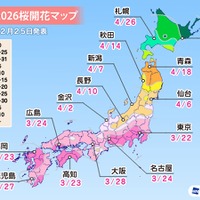 桜開花予想、東京3/22…つぼみ調査で西日本は「先が黄色に」