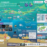 「一家に1枚　海」