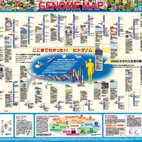 「一家に1枚　ヒトゲノムマップ」